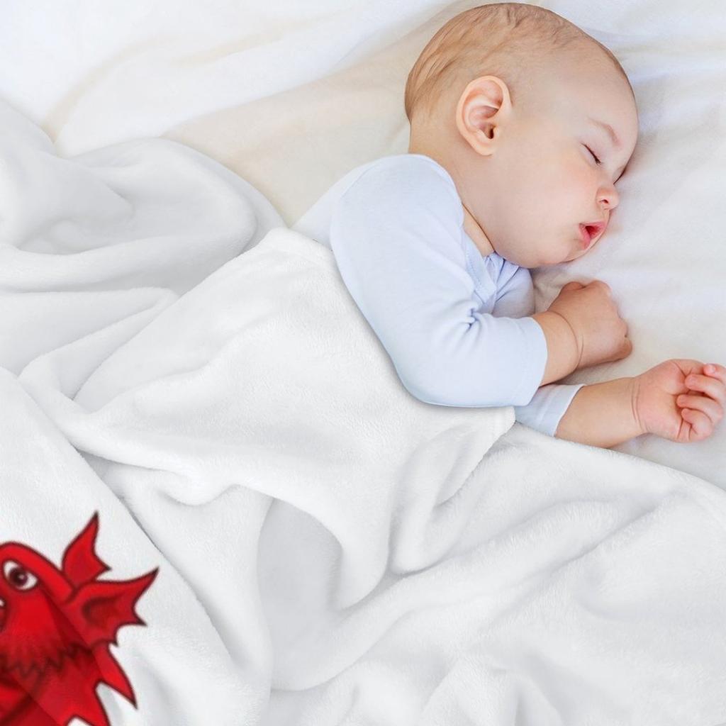 Welsh Red Dragon T-ShirtCwtch y Ddraig Goch - Hug the Red Dragon Throw Blanket Plush Hair Blankets