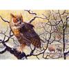 5D DIY Diamond Painting Animal Cat Eagle Full Diamond Embroidery Rhinestone Home Decor Gift Mosaic Art Picture Cross Stitch Kit