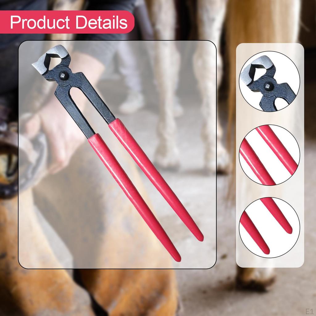 Horse Hoof Nippers Clippers Farrier Tool Trimmer for Cattle Donkey Miniature Grooming