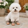 4PCS/SET Non-Slip Pet Mesh Shoes Wear-Resistant Pet Paw Protector Pet Footwear  Outdoor Use