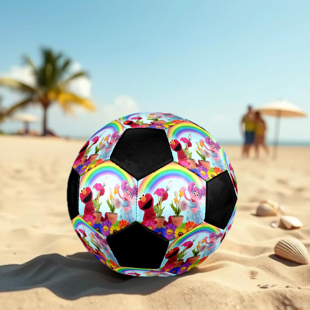 Sesame Street4 Soccer Ball Colorful All Ages Machine Stitched PVC Competition Ready Durable High-Bounce.SIZE5