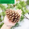 Natural Pine Cone and Dried Flowers Craft Kit for DIY Decor and Kindergarten Projects
