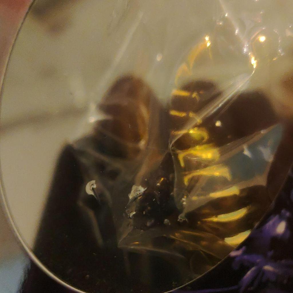 [USED] Price Reduced Dragon Quest Metallic Monsters Gallery Black Dragon