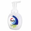 Walch Healthy Foam Hand Wash