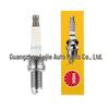 NGK Nickel Alloy Double Platinum Spark Plug 4415 DCPR7E for Beidouxing