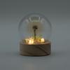Floral Glow Garden Dome – 1 Dandilion- LED Battery
