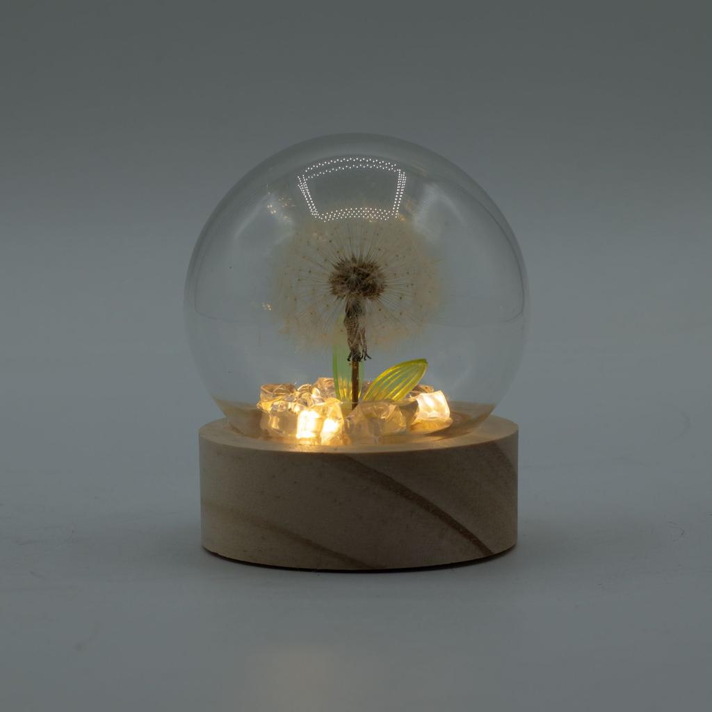 Floral Glow Garden Dome – 1 Dandilion- LED Battery