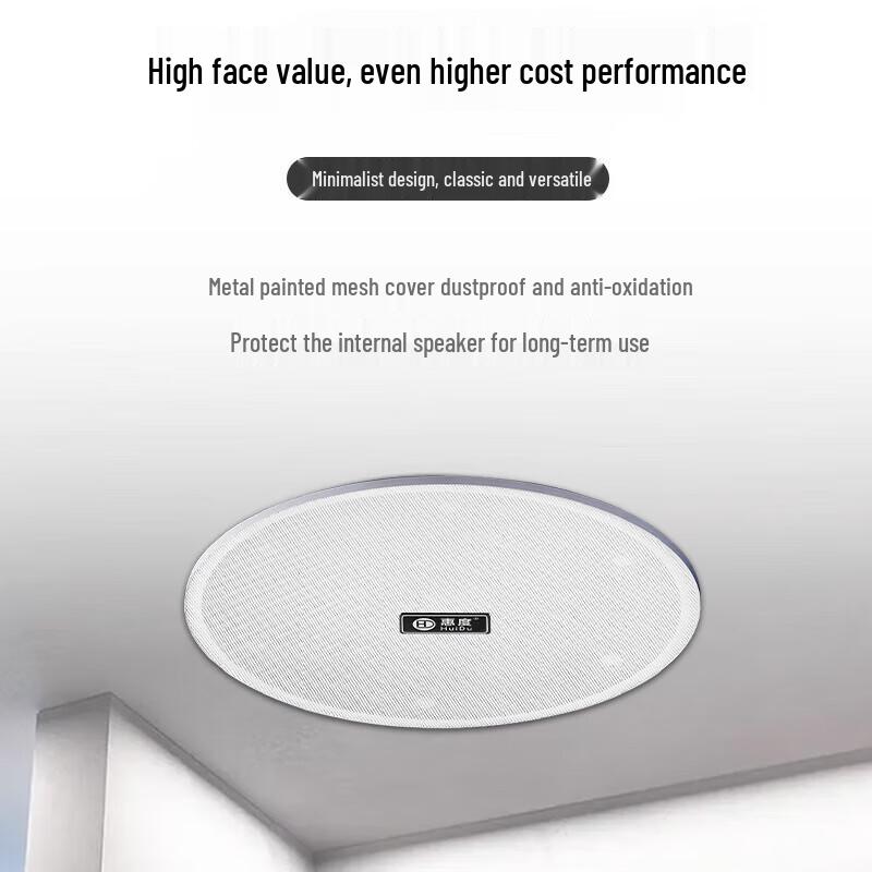 Huido RS-713 Professional Ceiling Speaker (CN version)