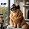 Трехмерная Маска Кошки Маска Летучей Мыши, Забавный Шлем, Шляпа Костюм Косплей, Регулируемый Питомец для Маленького Аксессуара Хэллоуин Вечеринка Фото Реквизит, Легкий
