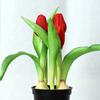 Tulip Bonsai Home Interior Decoration Project Green Plant Flower Pot Simulation Plant Wall False Flower