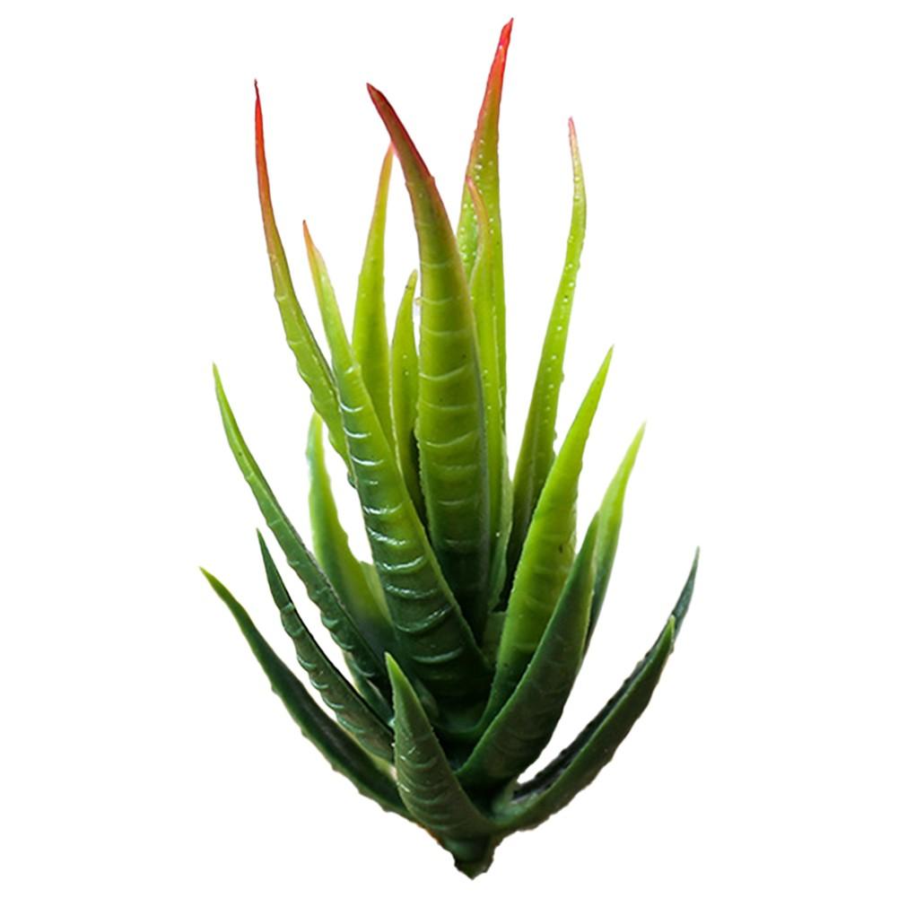 Fake Succulent Plant Simulation Flower Artificial Aloe Plant Easy Maintenance