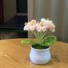 1PC Handmade Weaving Mini Potted Flowers DIY Home Office Desktop Decoration Potted Plants Wool Home Decoration