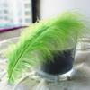 50Pcs Fluffy Turkey Marabou Feather 10-15Cm Turkey Feathers Decoration Accessories For Jewelry Clothes Wedding Plumes DIY Crafts