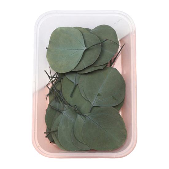 Набор сушеных цветов, настоящие натуральные цветы, сушеные цветы, сделай сам, вечные цветы, материал для ювелирных изделий ручной работы, поделки для ногтей