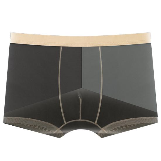 Men Boxer Underwear Mid-rise Elastic Waist Perspective Mesh Yarn Shorts