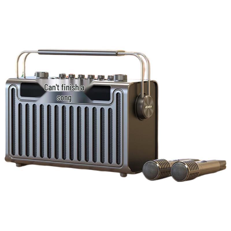 Портативная уличная караоке-колонка SANSUI E96 (Китайская версия)