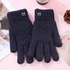 Новые двухслойные утолщенные и бархатные зимние перчатки для сенсорных экранов, предотвращающие холод и тепло, плюшевые женские вязаные перчатки