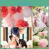 8 10 9pcs Tissue Paper Pom Poms Ball Wedding Birthday Party Baby Room Decor
