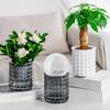 New Self Watering Hydroponic Plants Pot Plastic Succulent Planter Tabletop Vase Home Office Bonsai Decor Planter Decorative Pot