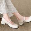 Fashion Temperament French Brown Thick Heel Small Leather Shoes Women's 2025 New Spring and Autumn with Skirt Shallow Mouth Mary Jane Single Shoes