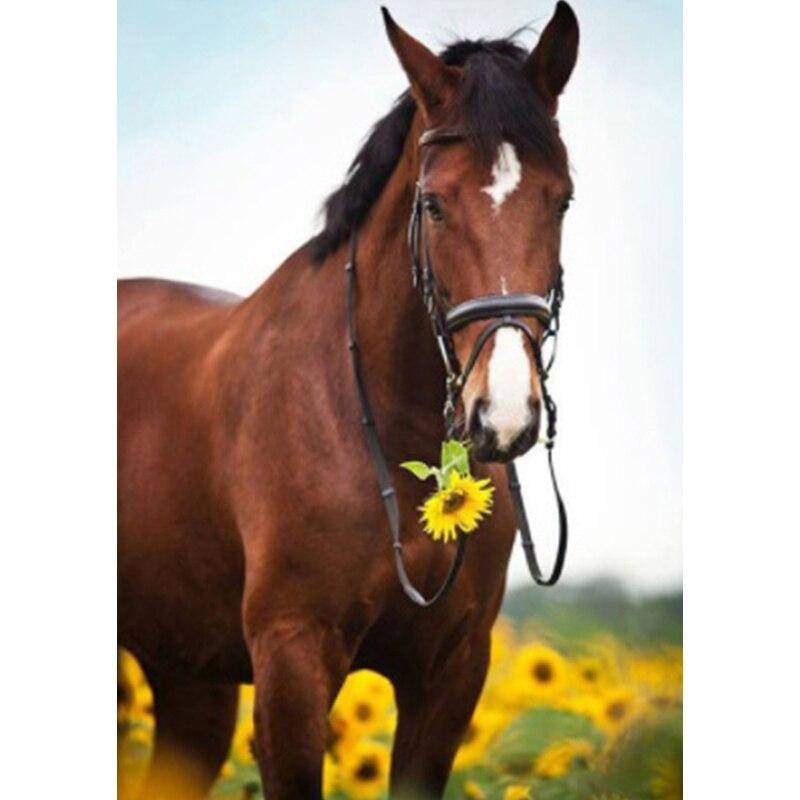 Новый 5D DIY пейзаж алмазная живопись Лошадь Алмазная вышивка животное вышивка крестиком полная круглая дрель домашний декор ручной подарок