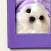 DIY Photo Frame Refrigerator Magnet 3-Inch Picture Holder Decorative Fridge Magnet Home Kitchen Office Whiteboard