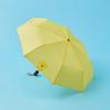 LINE FRIENDS Field Day Salini Minini Short Umbrella