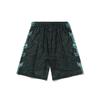 Баскетбольные шорты Li Ning мужские черные умеренные AAPQ121-1