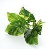 Artificial Pothos & Monstera Leaves Wall Decor for Living Room - Small Potted Greenery Arrangement