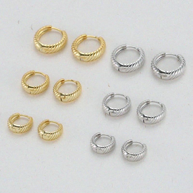 WorthWord [925 Silver] Aorr Earrings_2 Colors (3 Size)