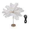 Feather Table Lamp Touch Switch USB Ostrich Feather Lamp 3 Color Dimming Desk Lamp with Gold Metal