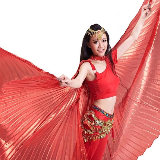 Женская мода Египетский Египет Танец живота Профессиональный костюм Isis Wing