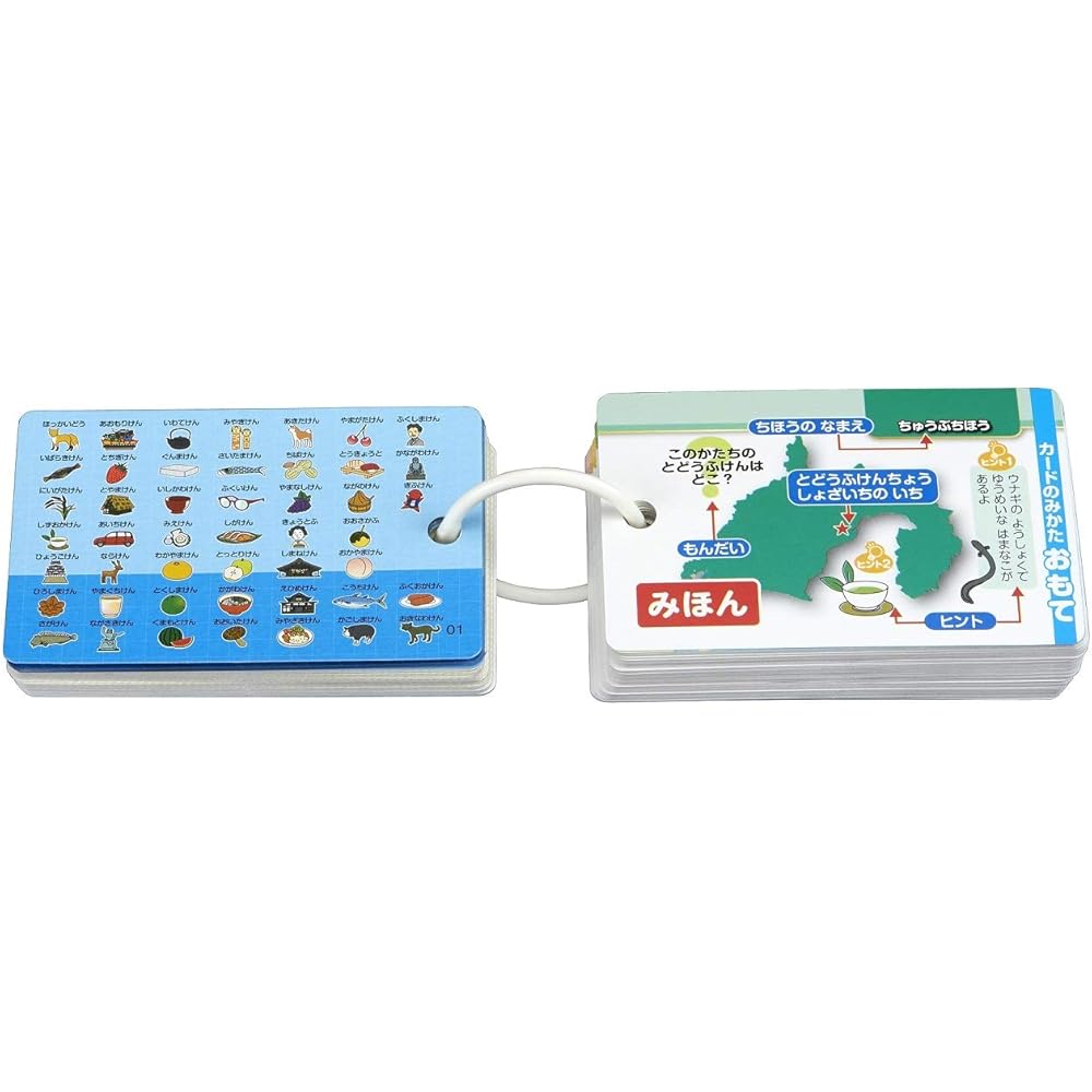 Epoch Pocket Picture Cards Toy with Ring and Transparent Cover for Ages 3 and Up