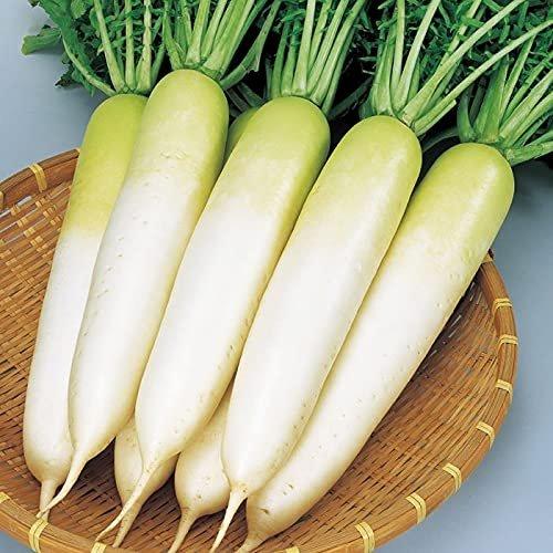 Семена дайкона зимнего 'Fuyujiman' от Sakata Seed, Премиальный японский овощ для вкусного осенне-зимнего урожая