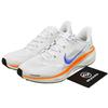 Air Zoom Pegasus 41 FP Blueprint Pack - HF0013-900