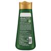 Kesh King Anti Hairfall Shampoo with Aloe and 21 Herbs, 340ml