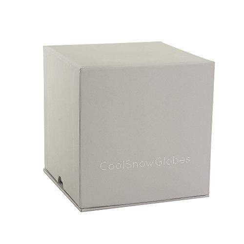 Лаборатория CoolSnowGlobes в лесу Крутой снежный шар