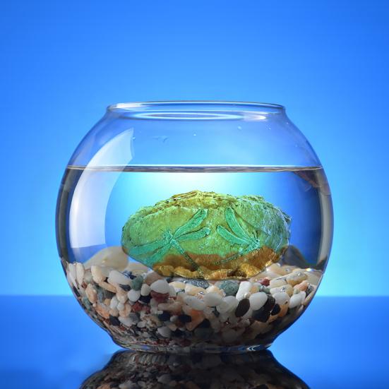 Аквариумный орнамент Моделирование черепахи Рептилия Ящерица Ландшафтный дизайн Пещера Смола Динозавр Ископаемая рыба