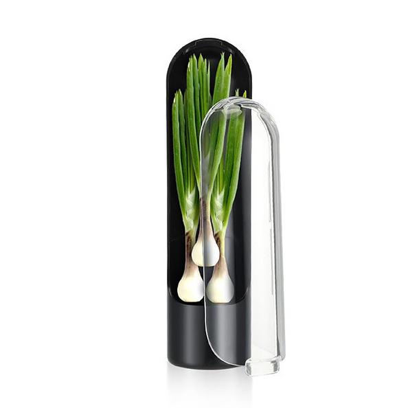 Холодильник. Контейнер для хранения трав. Бутылка для консервирования овощей. Храните зелень, кинзу, мяту, петрушку, спаржу, свежую зелень.