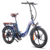 Electric Bike FAFREES 20" 250W Motor Top Speed 25km/h 36V 18AH Max Range 150Km Load 150Kg F20 Pro