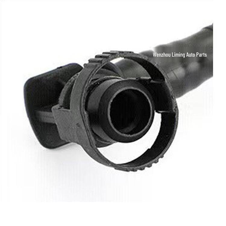 BMW E70/E60 Fuel Tank Vent Pipe & Carbon Canister Solenoid Valve