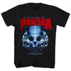 Мужская футболка Pantera Domination с винтажным принтом, классическая футболка для рок-музыки, черная