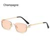1PC Metal Half Frame Sun Glasses Small Square Women's Sunglasses Vintage Shades Trendy Narrow Hip Hop Eyewear