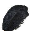 Black Ostrich Feathers 15cm 6 Inch Carnival Party Wedding Decorations Natural Ostrich Feather For Crafts Plumes