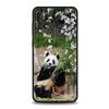 Чехол для телефона панда для Samsung A56 A36 A26 A24 A16 A14 A12 A32 A50 A70 A20S A22 A30 A40 A34 A54 A42 A52 A04s A06 5G