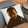 For All The Dogs Iceman Drake Pillow Case Anti-Dustmite Pillowcase Invisible Zipper Silky Short Plush Sofa Cushion Cover