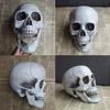 Halloween  Artificial Skull Head Model Skull Bone Scary Horror Skeleton Ornament