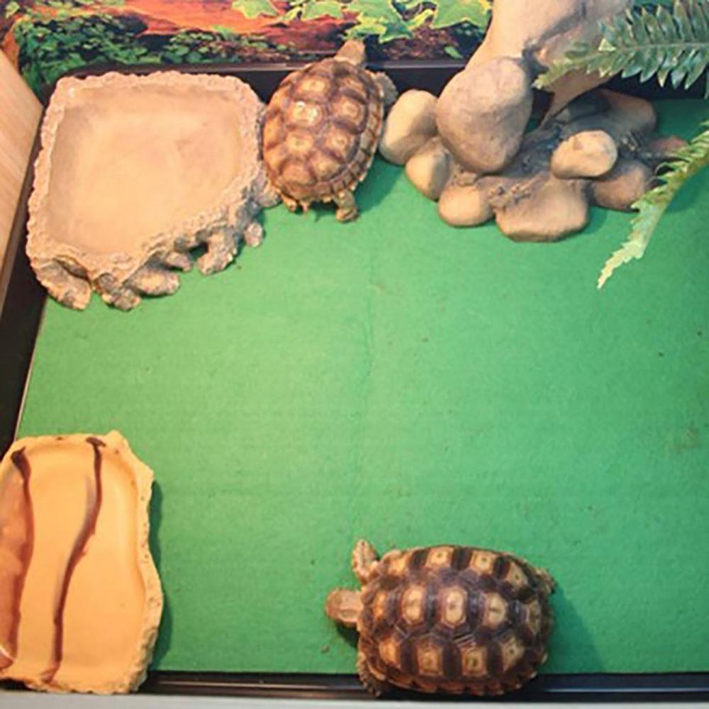 Water Absorbing Moisturizing Reptile Bed Waterproof Crawling a Pet Carpet  Lizard