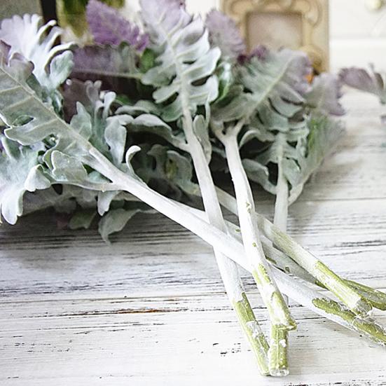 1шт искусственный Senecio Cineraria поддельные растения фото реквизит DIY домашний офис декор