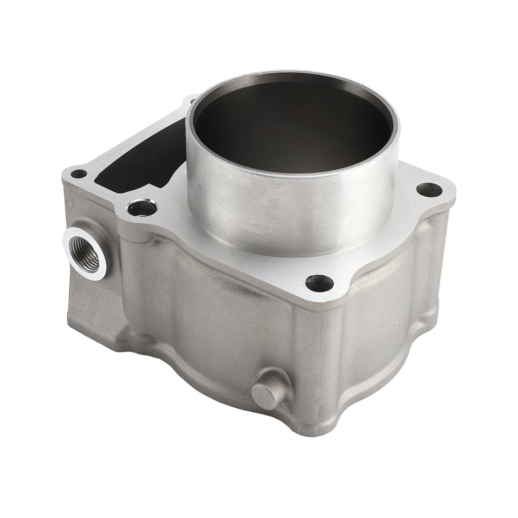 Engine Cylinder Barrel Top End Rebuild Kit For Kawasaki KLX 300 KLX300 R 96-07